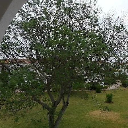 Senhora Da Rocha Apartment Armacao de Pera